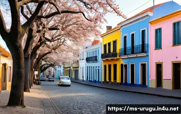 우루과이 여행 필수 정보 - **Colonial Serenity in Colonia del Sacramento:**
A picturesque, warm afternoon scene in Colonia ...